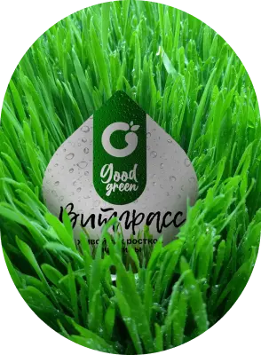 pack in grass