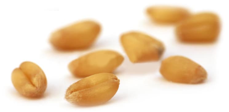 Peanuts
